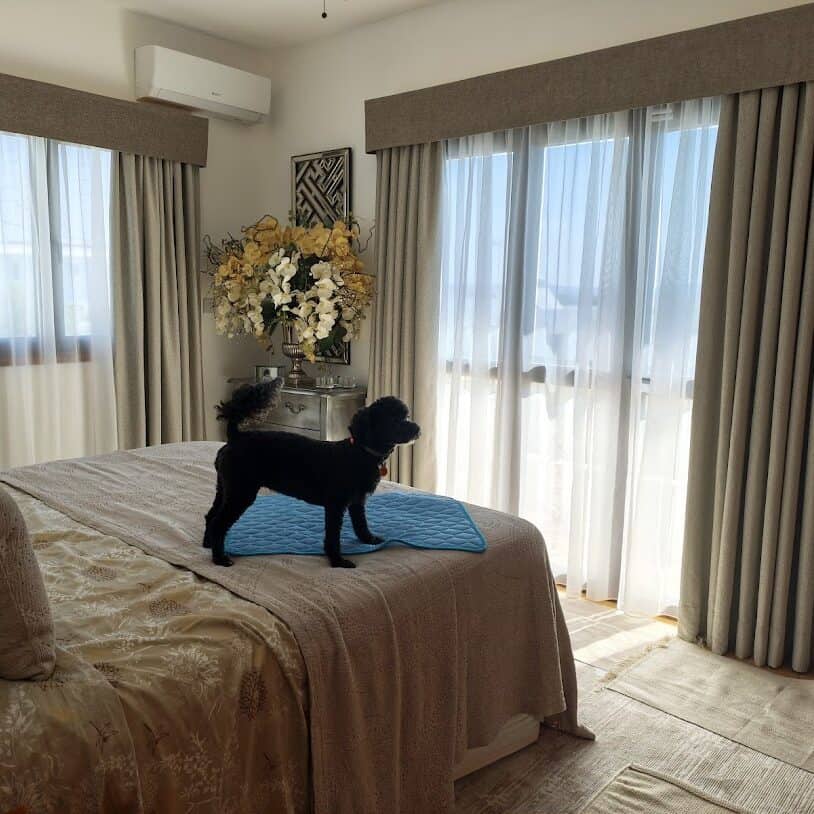 Patterned velvet fabric with blackout lining, white sheer curtains, and pelmets